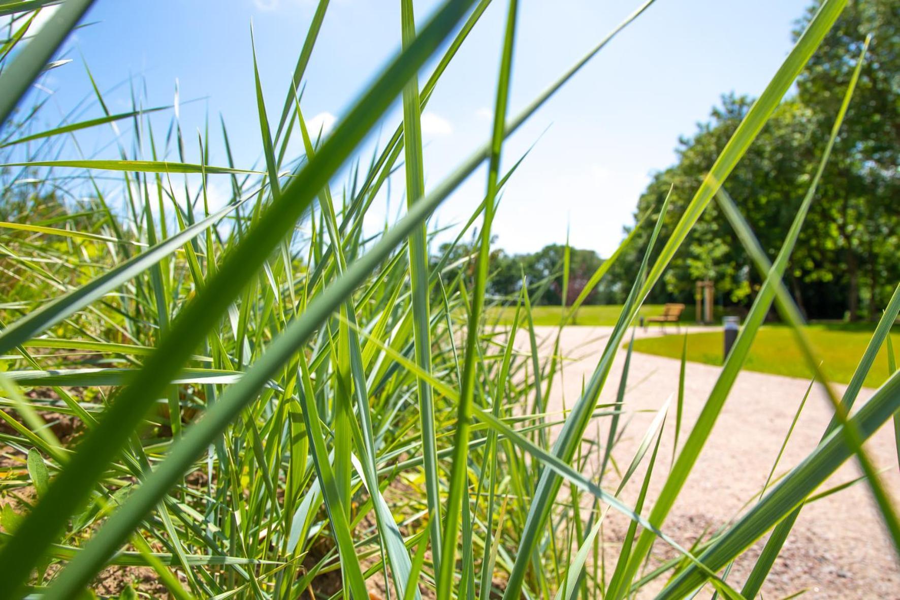 Wohnen Am Suedstrand - Ferienwohnung 0 3 Wyk auf Föhr Exteriér fotografie
