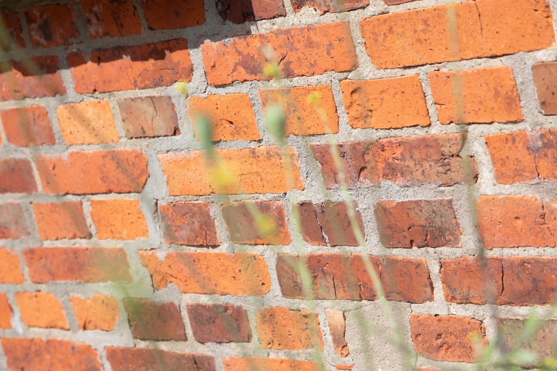 Wohnen Am Suedstrand - Ferienwohnung 0 3 Wyk auf Föhr Exteriér fotografie