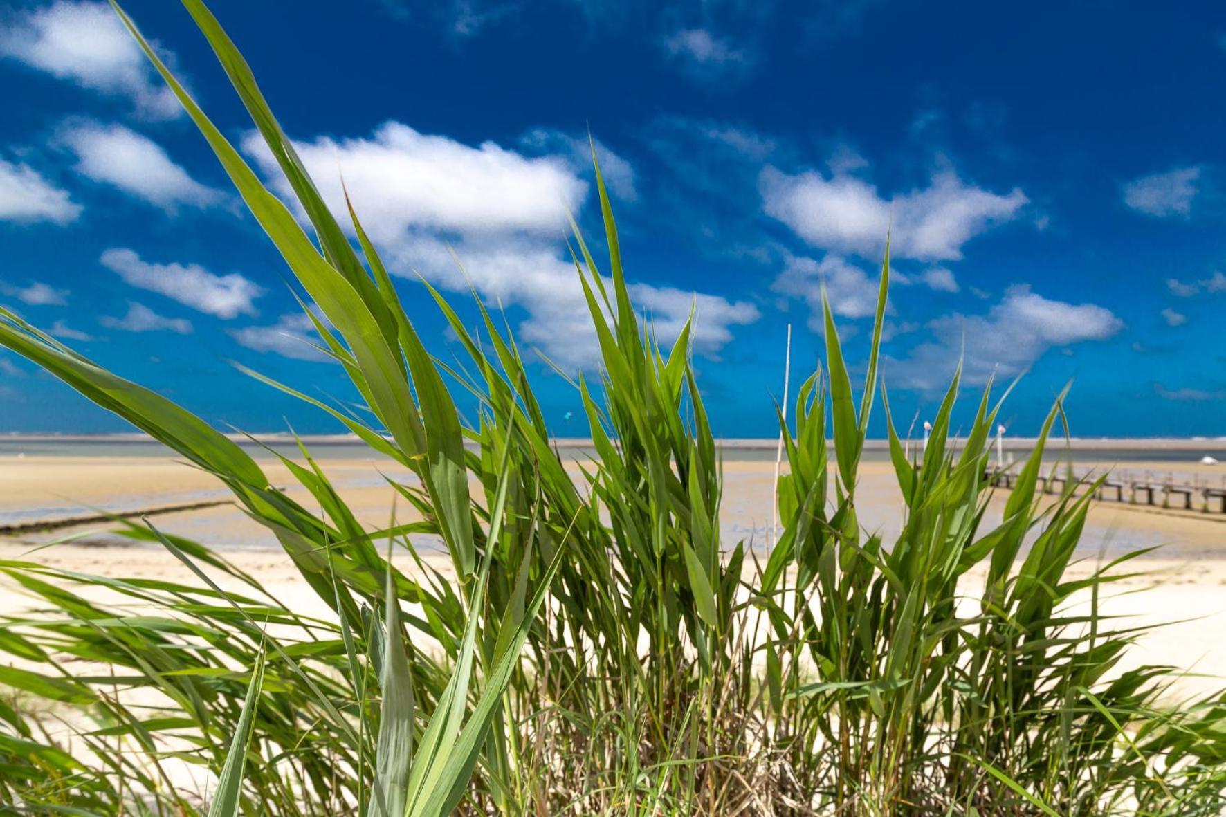 Wohnen Am Suedstrand - Ferienwohnung 0 3 Wyk auf Föhr Exteriér fotografie
