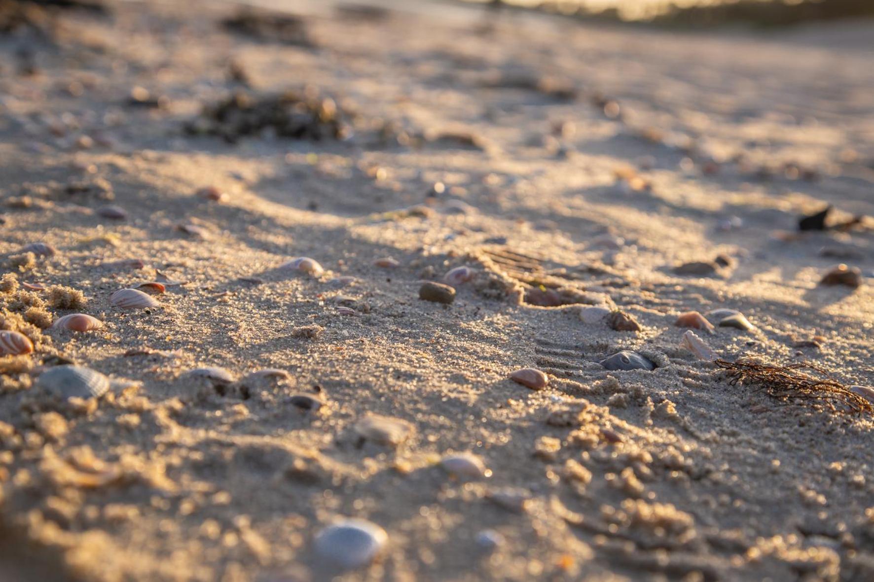 Wohnen Am Suedstrand - Ferienwohnung 0 3 Wyk auf Föhr Exteriér fotografie